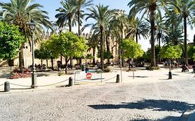 Étnico (San Basilio)